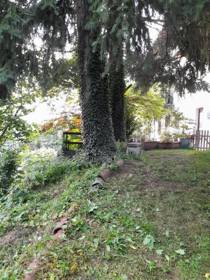 Terrazza Sul Lago Ameno Exterior foto